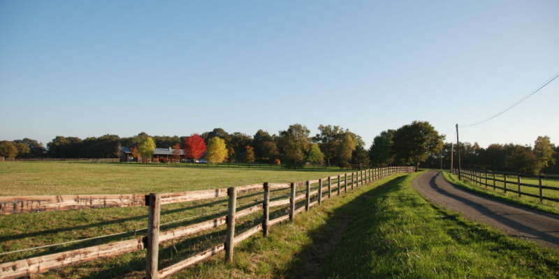 Haras des Acanthes - Environnement