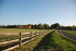 Haras des Acanthes - Environnement