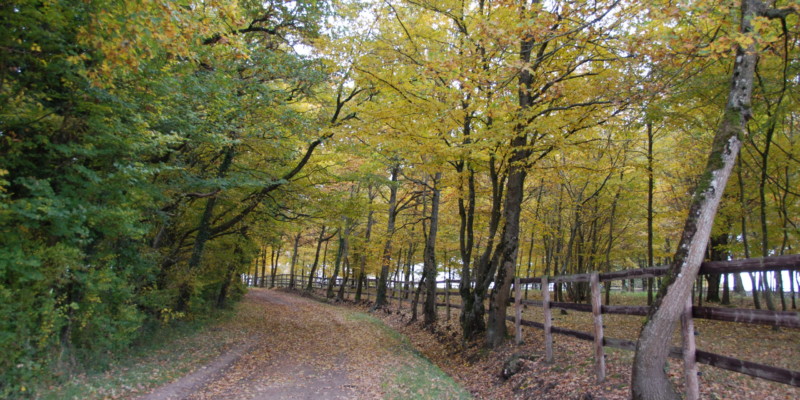 Haras des Acanthes - Environnement