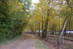 Haras des Acanthes - Environnement