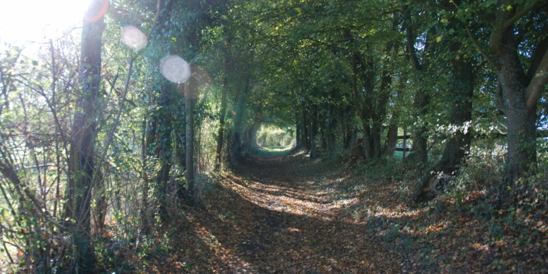 Haras des Acanthes - Environnement