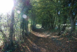 Haras des Acanthes - Environnement