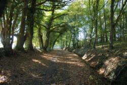 Haras des Acanthes - Environnement