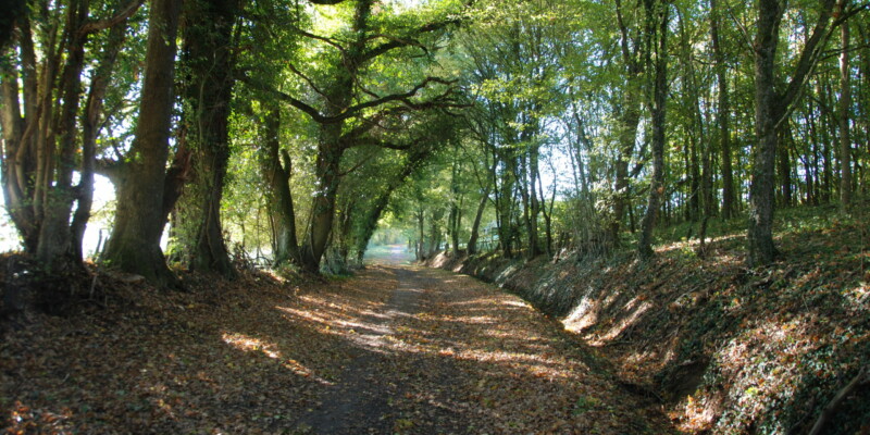 Haras des Acanthes - Environnement