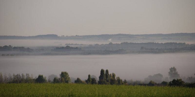 Haras des Acanthes - Environnement