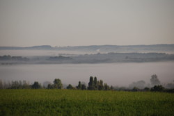 Haras des Acanthes - Environnement