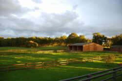 Haras des Acanthes - Installations