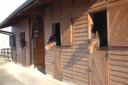 Haras des Acanthes - Installations