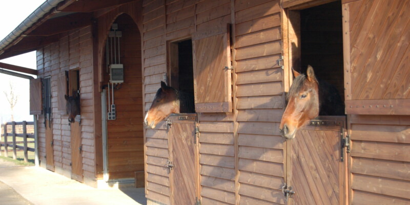 Haras des Acanthes - Installations