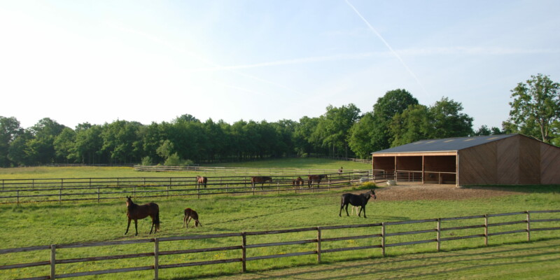 Haras des Acanthes - Installations