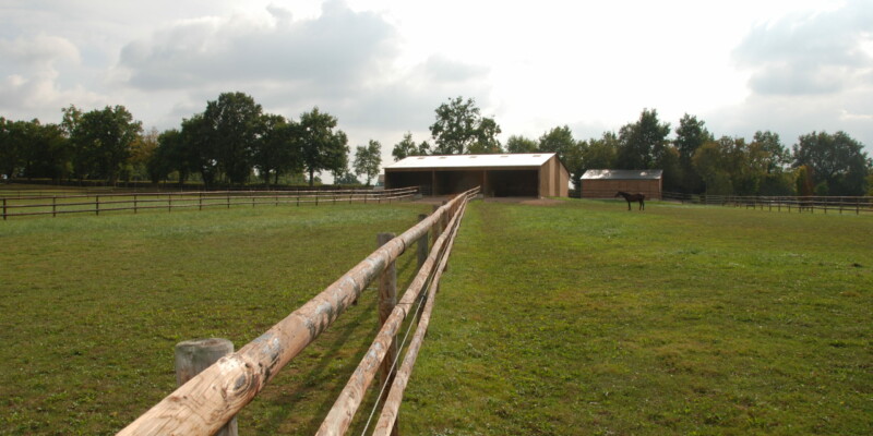 Haras des Acanthes - Installations