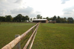 Haras des Acanthes - Installations