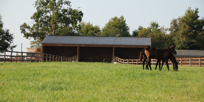 Haras des Acanthes - Installations