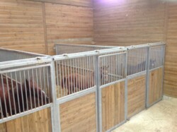 Haras des Acanthes - Installations