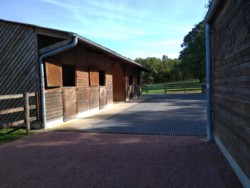 Haras des Acanthes - Installations