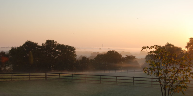Haras des Acanthes - Prairies