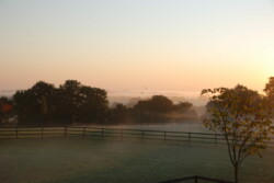 Haras des Acanthes - Prairies